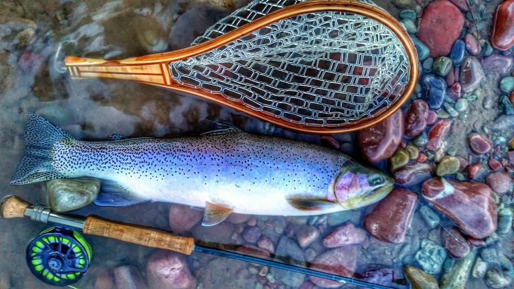Fishing