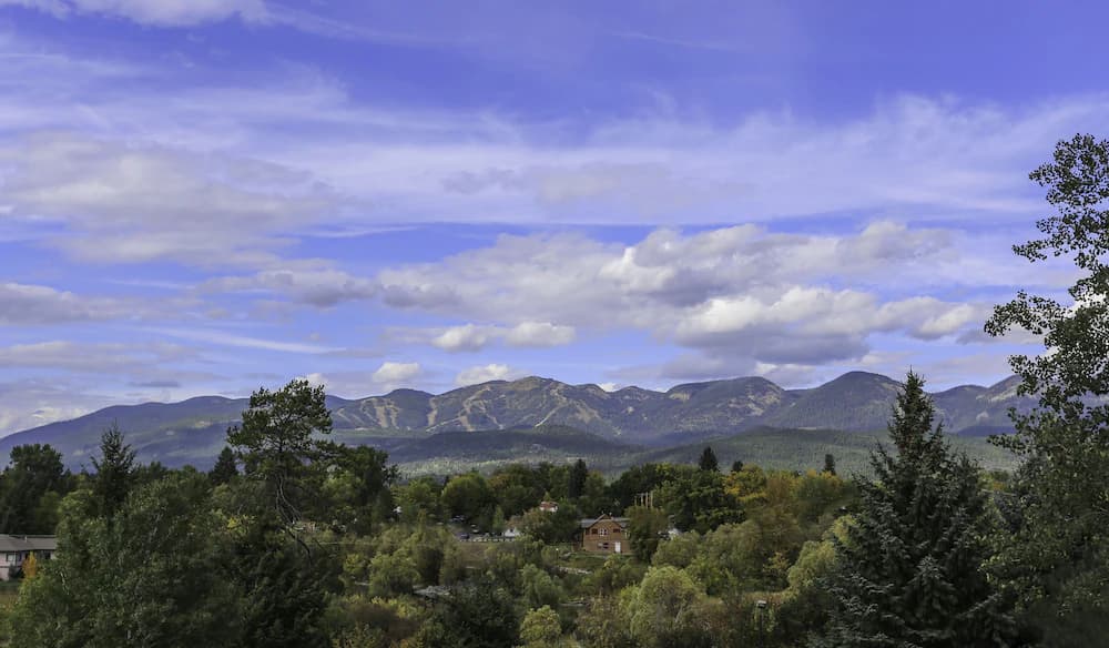 View from property
