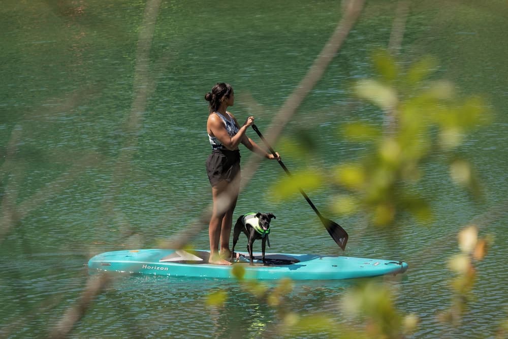 Pet-friendly amenities