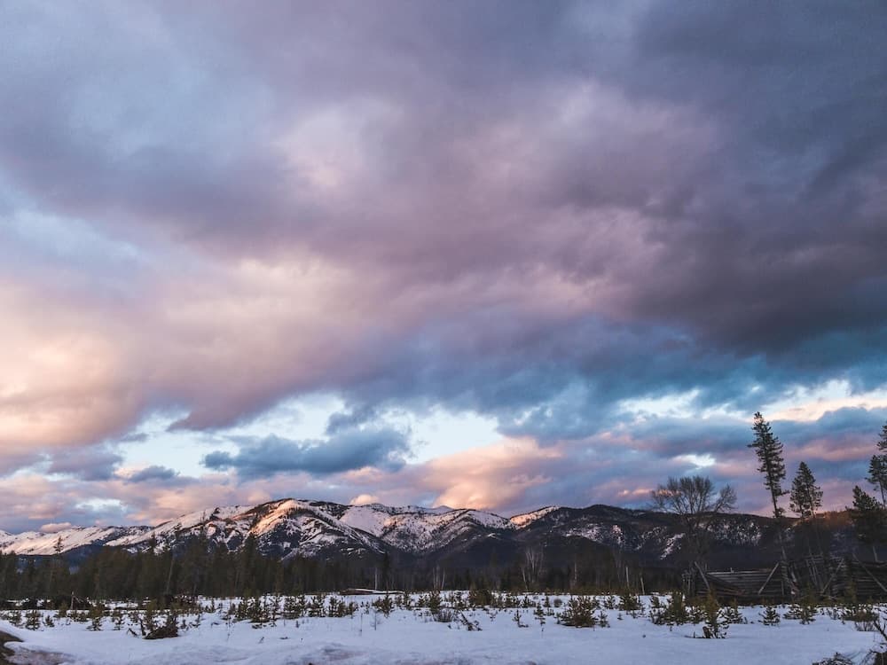 Snowshoeing