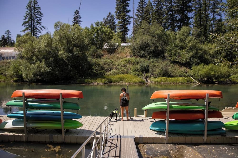 Pet-friendly amenities