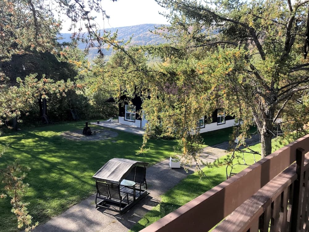 View from room