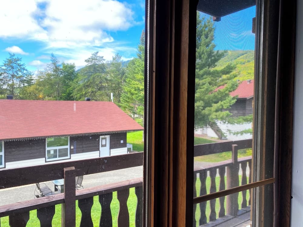 View from room