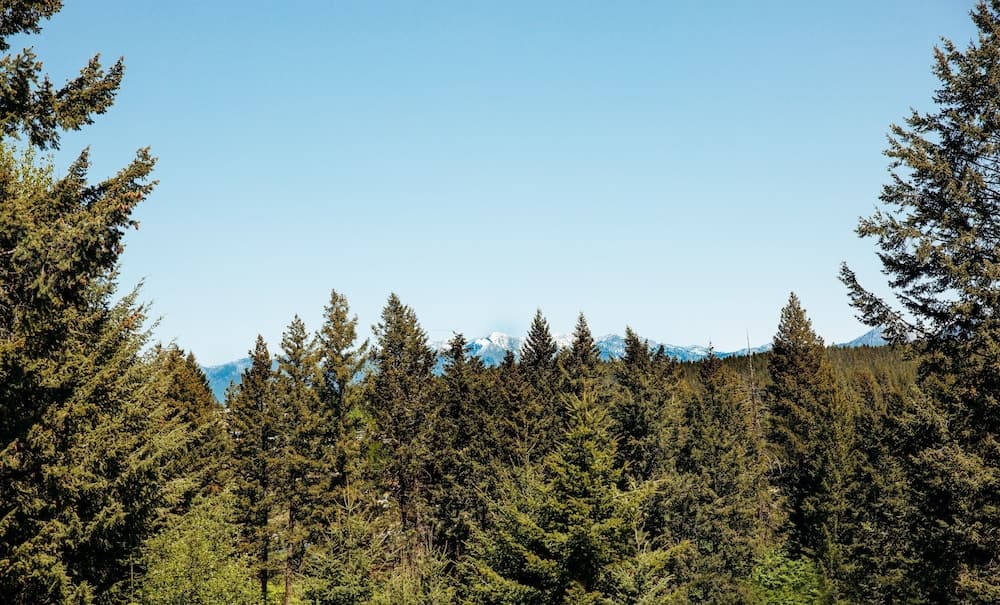 Mountain view