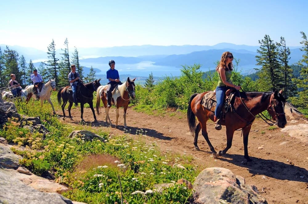Horseback riding