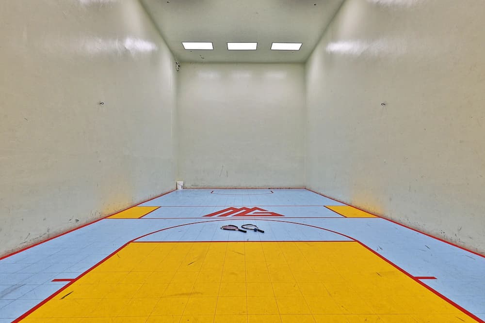 Sport court