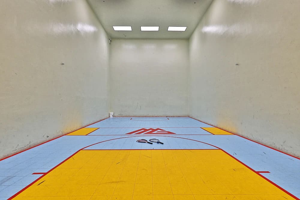 Sport court