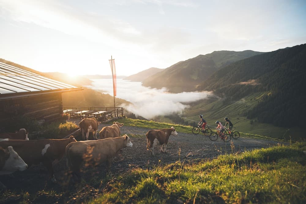 Bicycling