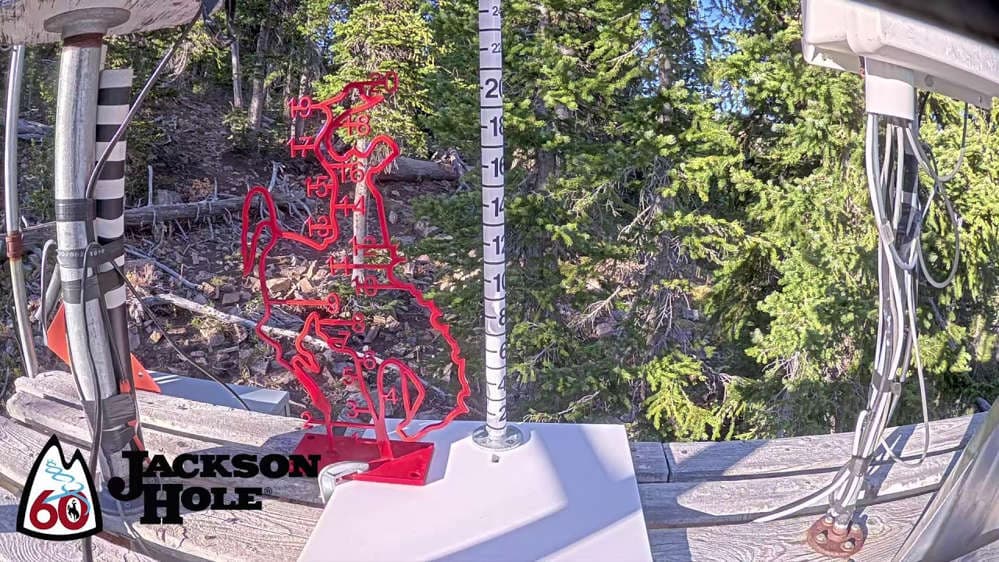 Raymer Snow Stake 