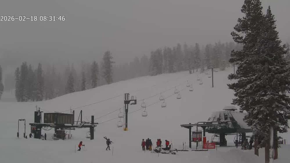 Cornice Cam