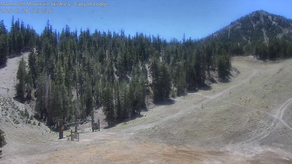 Chair 8 Bottom