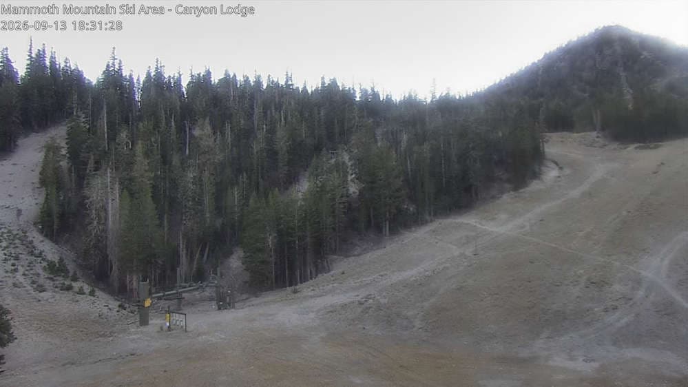 Chair 8 Bottom