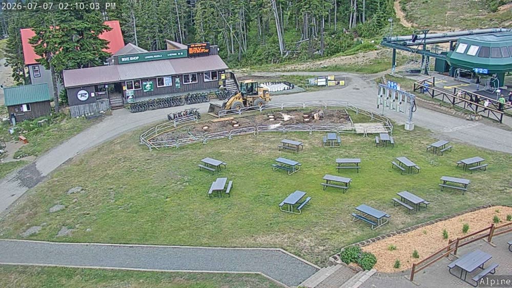 Alpine Cam