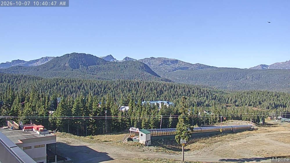 Alpine Cam