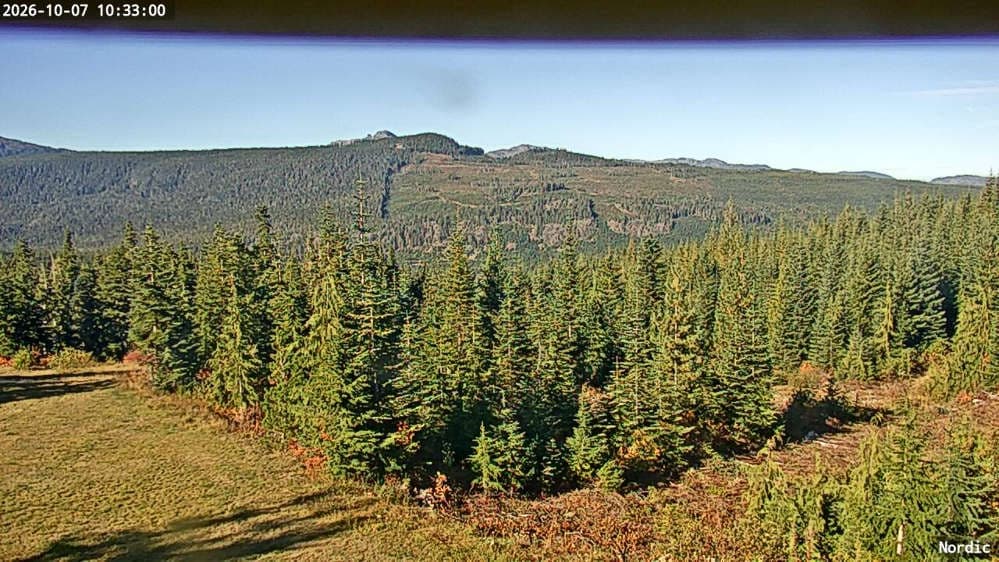 Nordic Cam