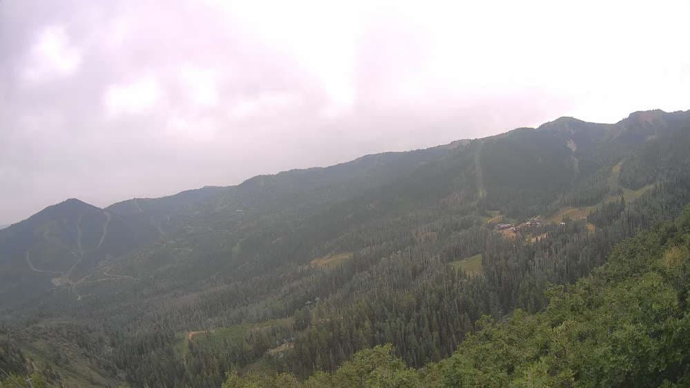 Lookout Cabin Camera