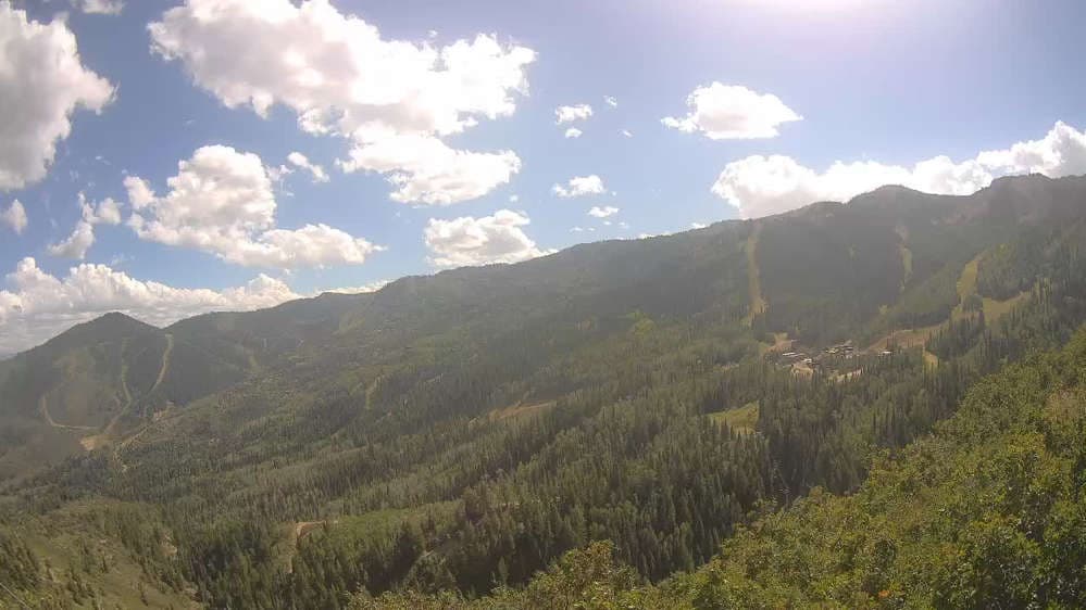 Lookout Cabin Camera