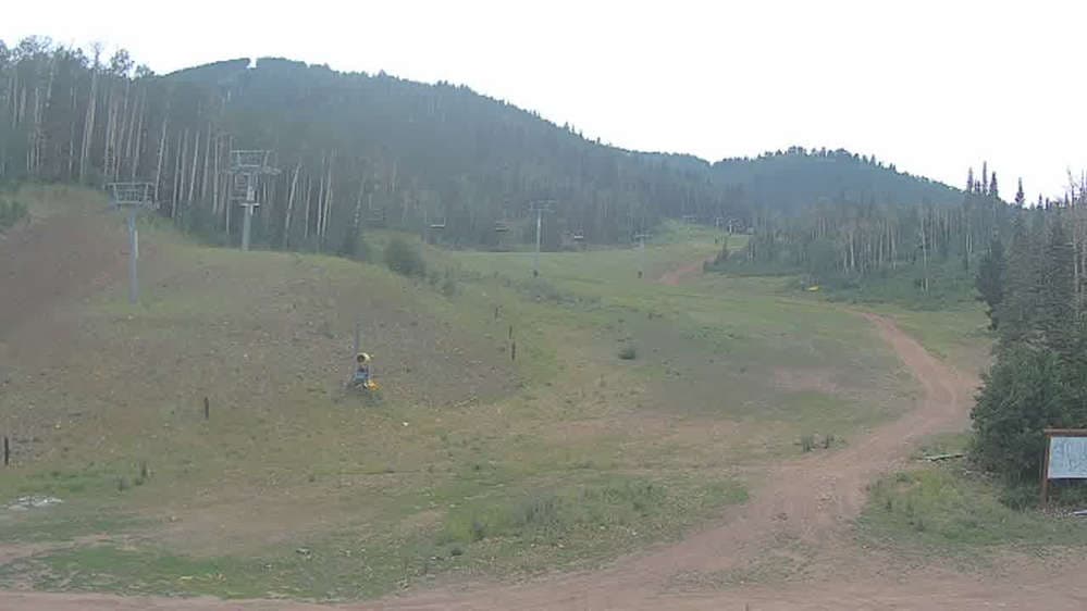 High Meadow