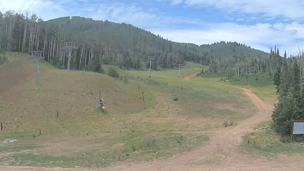 High Meadow