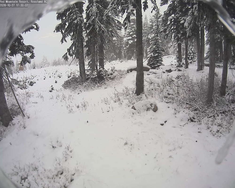 Red Resort - Rosario Snow Cam