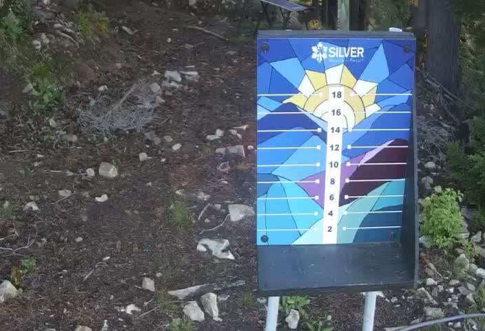 Kellogg Snow Stake