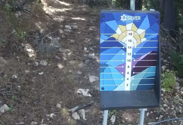 Kellogg Snow Stake