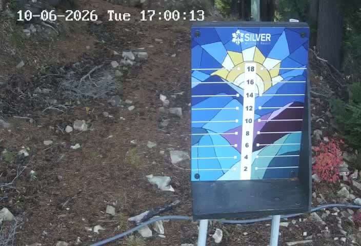 Kellogg Snow Stake