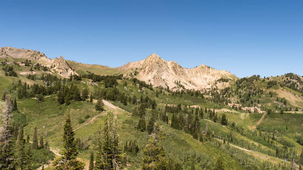 Mt. Ogden