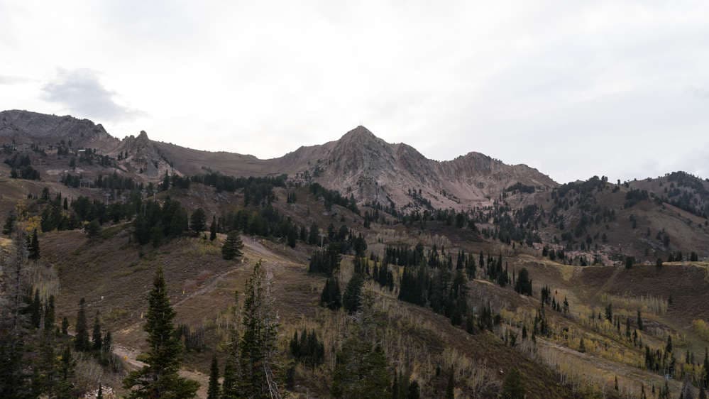 Mt. Ogden