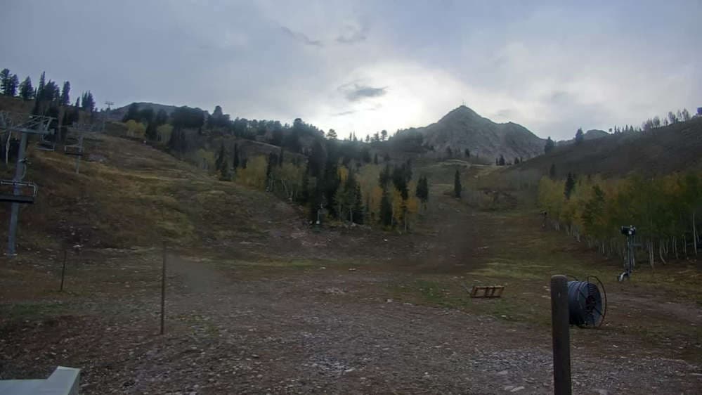 Middle Bowl Base