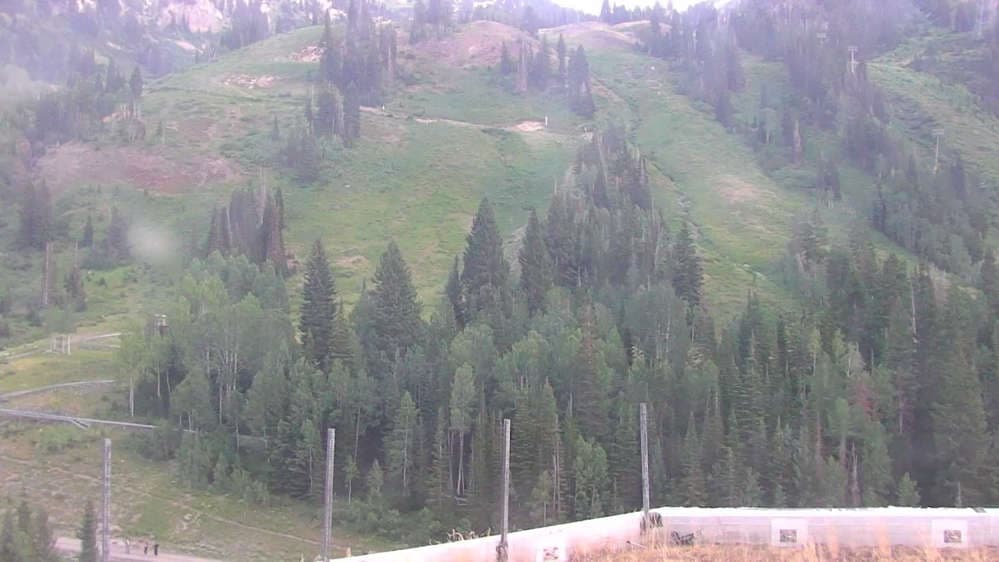 Snowbird - Peruvian Gulch