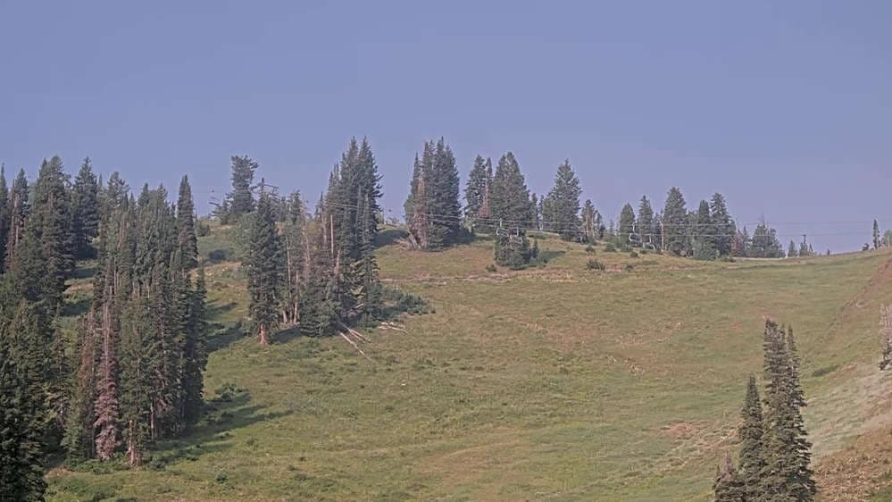 Solitude: Sunshine Bowl Cam