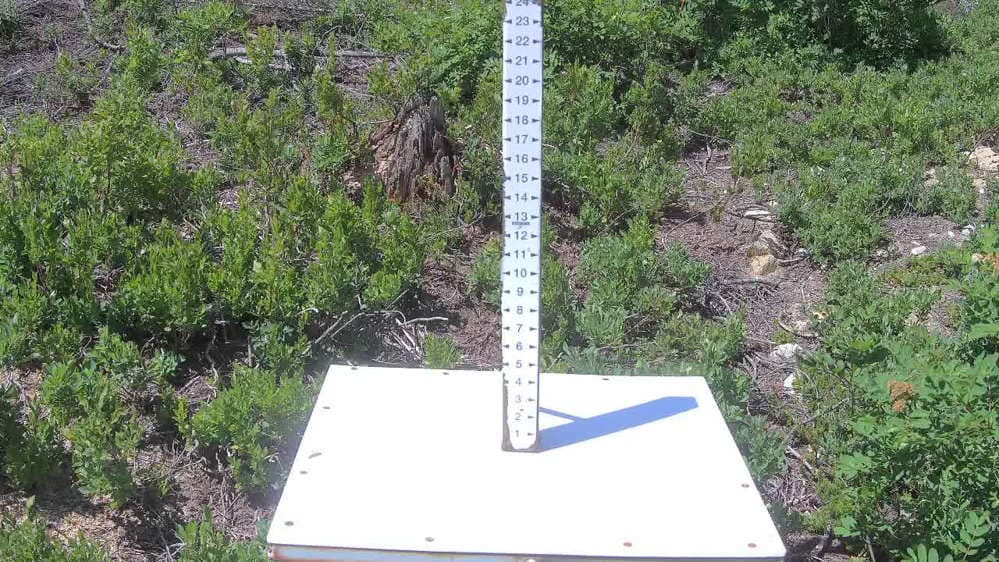 Stevens Pass Snow Stake