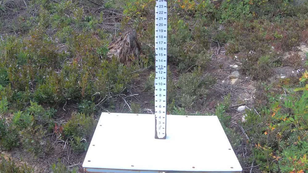Stevens Pass Snow Stake