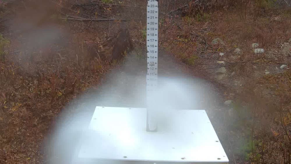 Stevens Pass Snow Stake