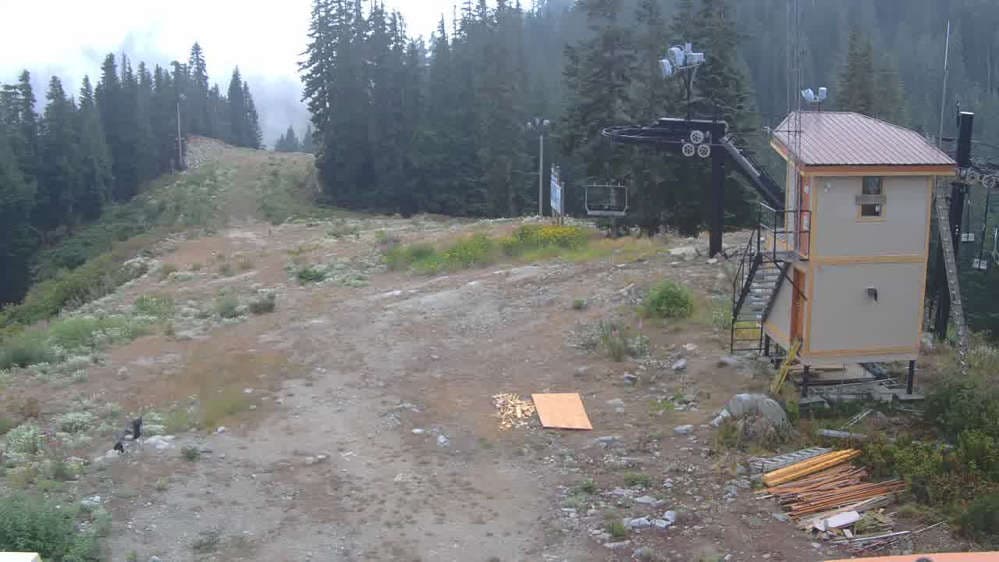 Stevens Pass - Jupiter