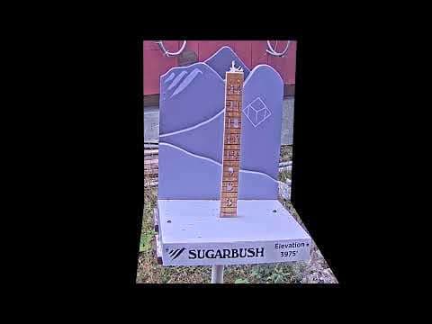 Summit Snow Stake