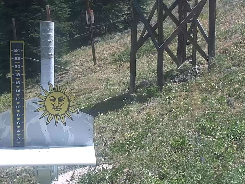 Snow Stake
