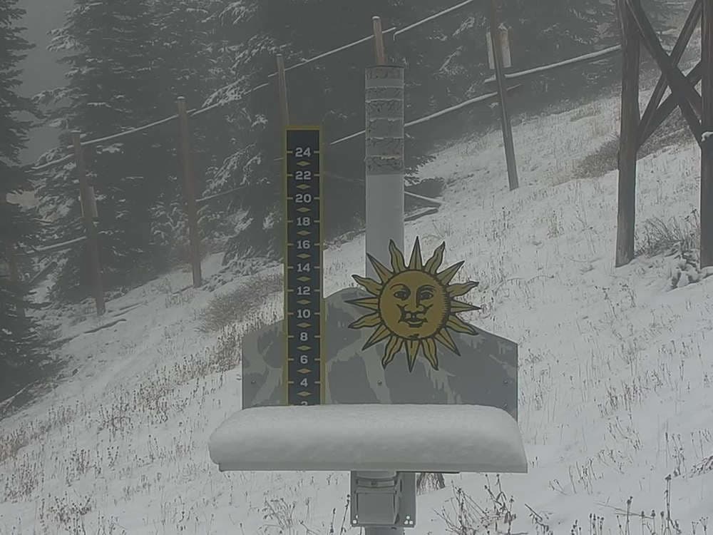 Snow Stake
