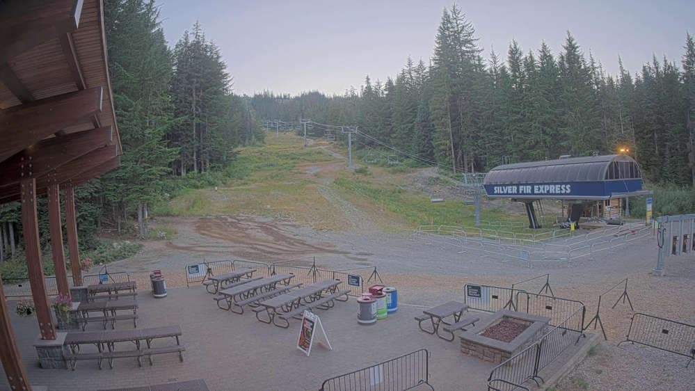 Silver Fir - Base Area
