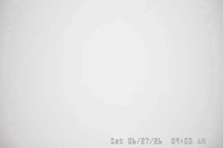 Timberline Lodge - Palmer/Silcox webcam
