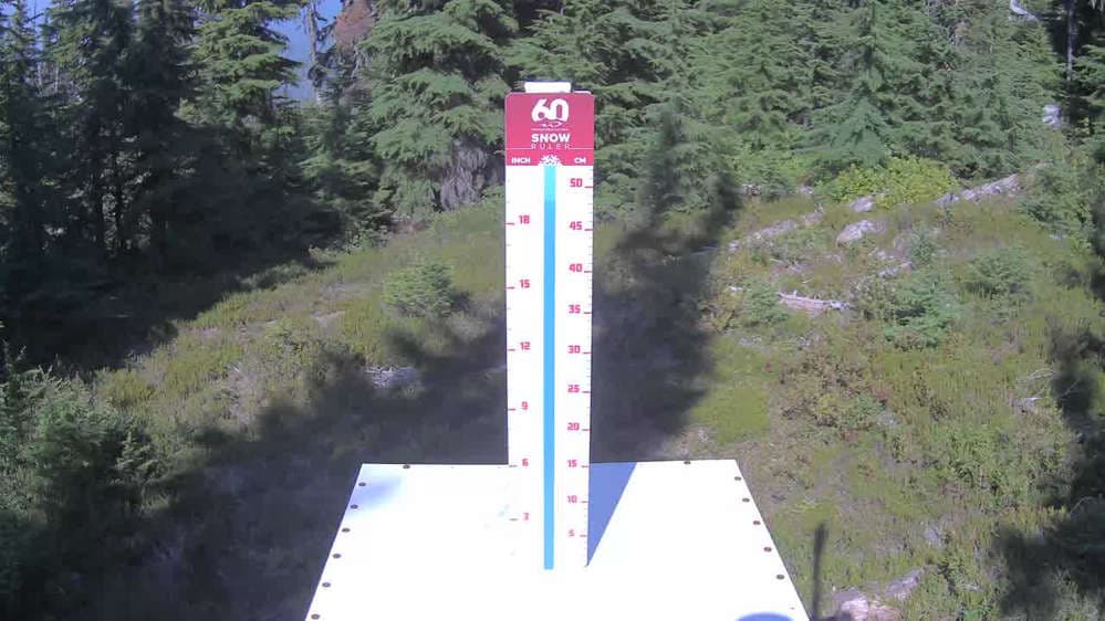 Whistler Snow Stake