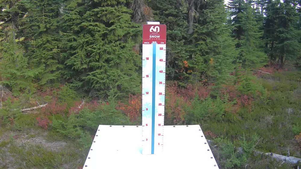 Whistler Snow Stake