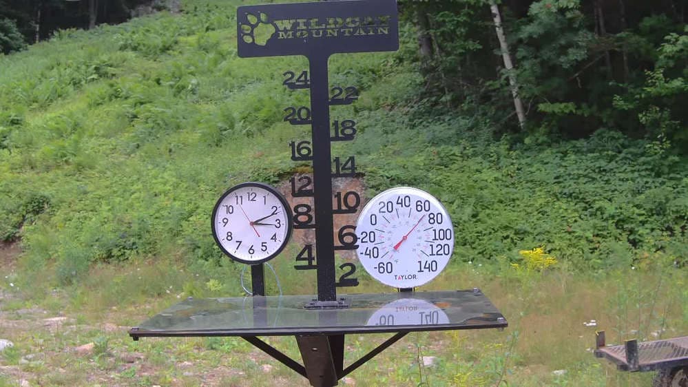 Wildcat Snowstake