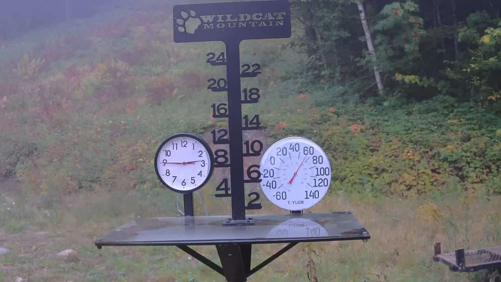Wildcat Snowstake