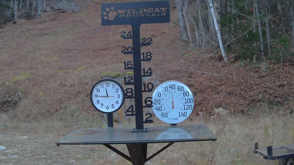 Wildcat Snowstake