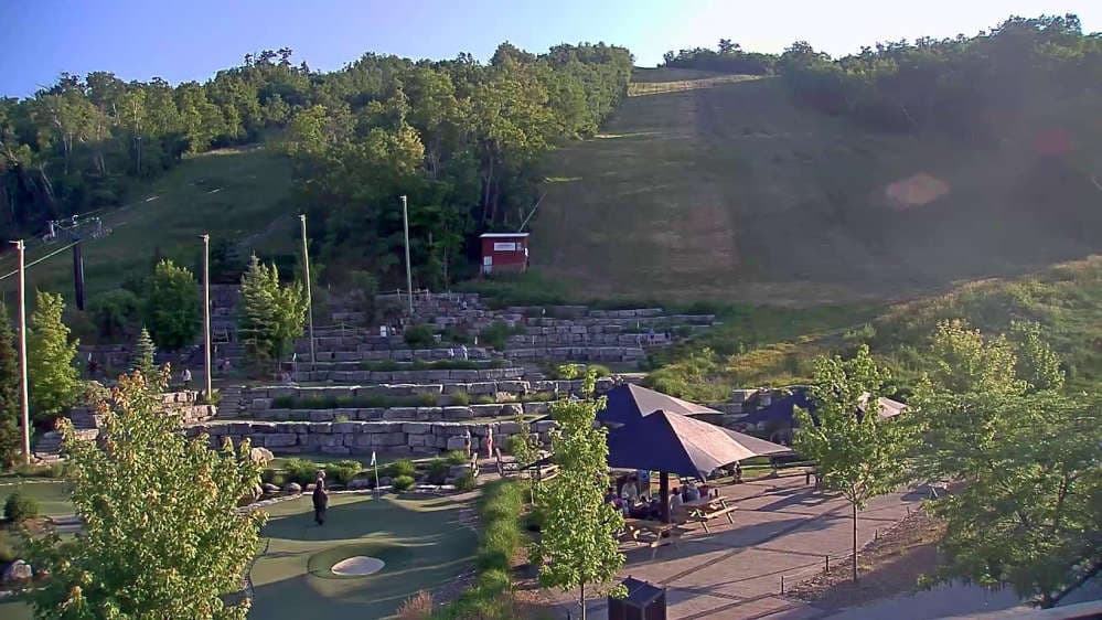 Blue Mountain: Smart Alec Trail Cam