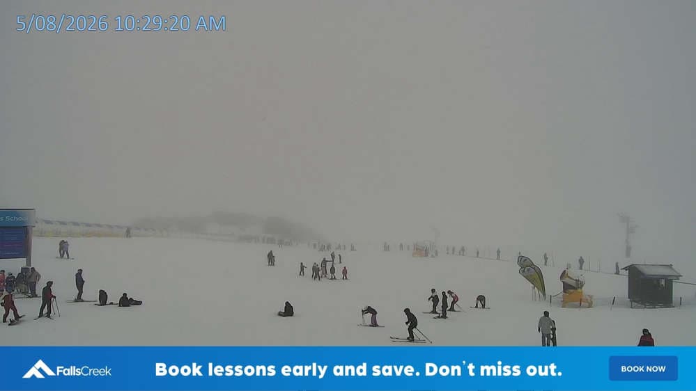 Falls Creek Alpine Resort - Mouse Trap