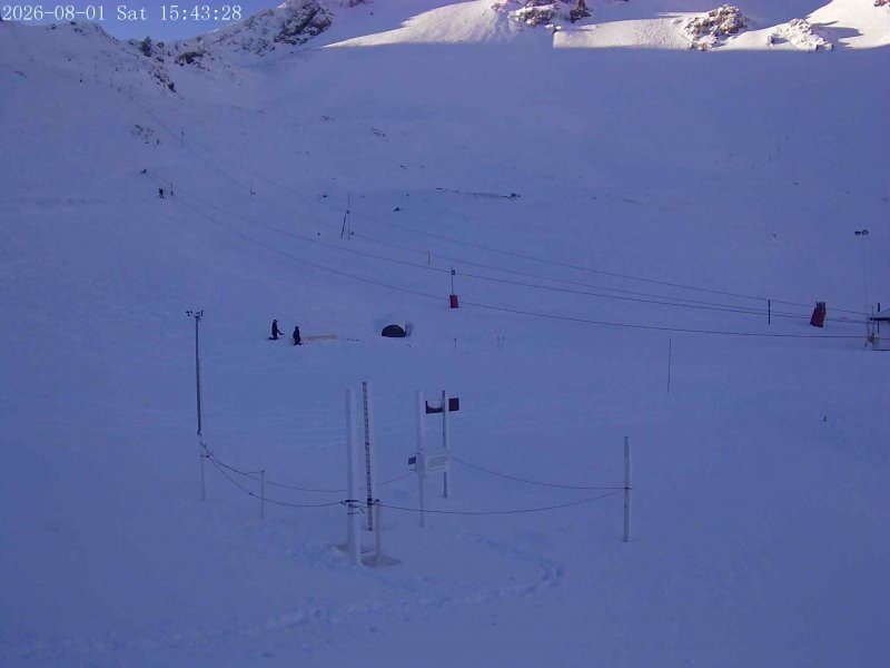 Snowstake