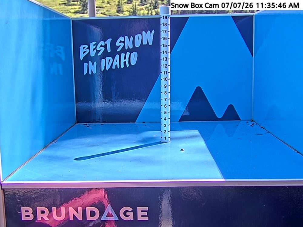 Base Area Snow Cam
